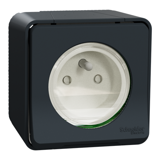 Prise terre étanche complet SCHNEIDER MUR35031 Mureva 1 poste gris